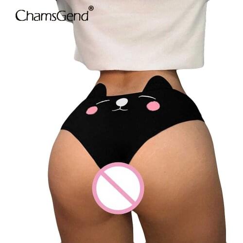 CHAMSGEND Women Underwear