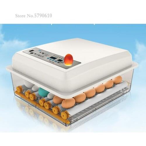 Incubator automatic small household water bed egg incubator peacock duck goose household egg incubator