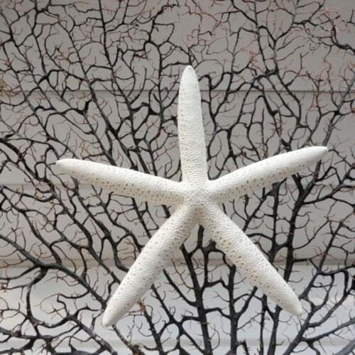 HappyKiss 5PCS/lot 8-16cm beige White natural sea Starfish Real Finger Star fish