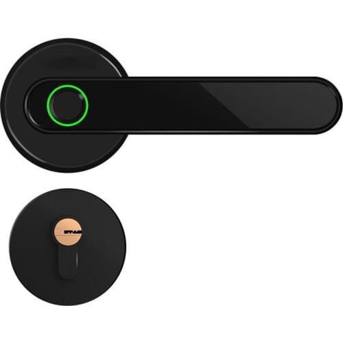 Bluetooth Biometric Fingerprint Door Lock APP Control Smart Door Lock Fingerprint Electronic Door Lock
