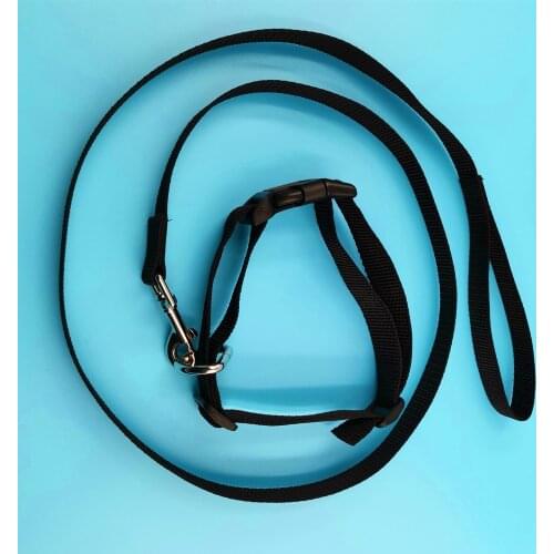 Reliable Quality Scalable Dog Collar german shepherd dog bandana service dog dog harness leather dog collar pitbull