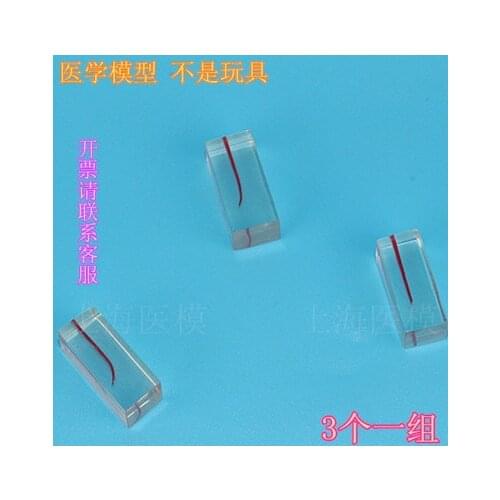 3pcs set Teeth with colored pulpal wall. Excellent for root canal filling cavity preparation