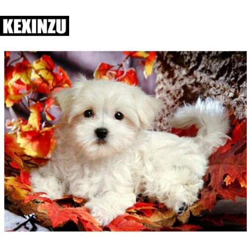 5D DIY Full Square/Round Diamond Painting "puppy, pup"Embroidery Cross Stitch Mosaic Home Wedding decoration