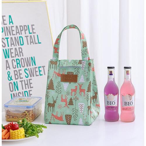 Lunch Bags for Women Cooler Lunch Box Portable Picnic Food Insulated Functional Pattern Canvas Lunch Bag Thermal Cute Lunch Box