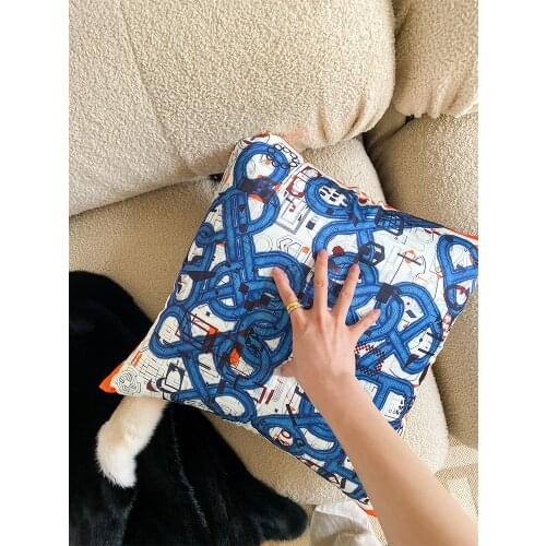 48x48cm Pig nose silk pillow Seat Cushion Back Cushion Lumbar Rests pillow do not with core
