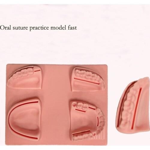 Dental suture practice model medical student supplies stitch simulation oral cavity module training tool kit