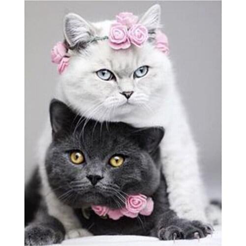 White and black cats with flower DIY Diamond Painting kittens flowers Diamond Embroidery cross Stitch Rhinestone Mosaic Painting