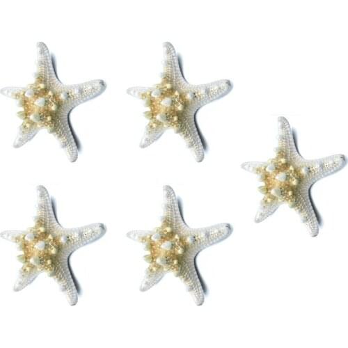 New 5pcs/lots crafts white bread sea shell starfish, fashion home decorative handicrafts