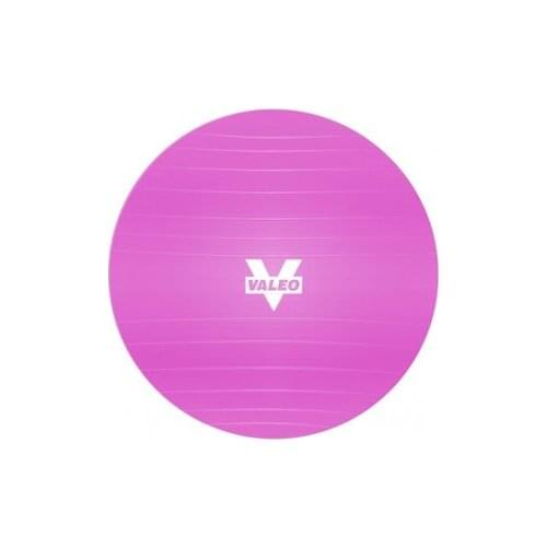Mini Ball 20 Cm Pink Pilates Ball