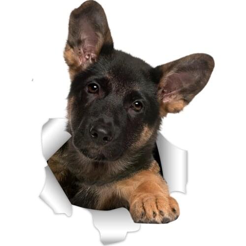 Three Ratels 3D hound Dog Stickers Super Staffie decal on Wall Fridge Toilet car bike