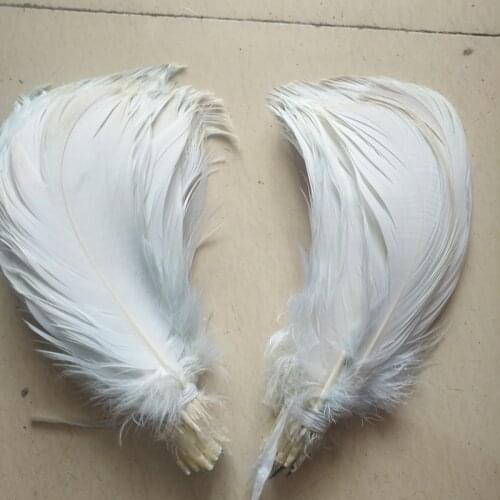 Wholesale 10pcs / lot rare white eagle feathers long 18-25cm / 7-9 inch beautiful feathers accessories, decoration