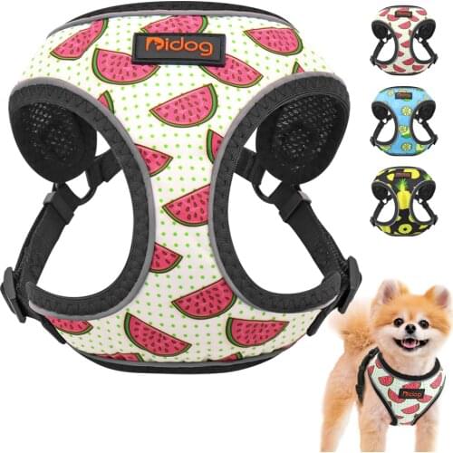 Cute Dog Cat Harness Fruit Printed Puppy Pet Harness Nylon Mesh Small Dogs Chihuahua Harness Vest Reflective for Yorkshire