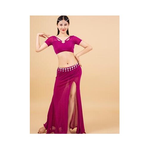 Belly dance uniforms skirt new belly dance costumes practice dance costumes skirt t746