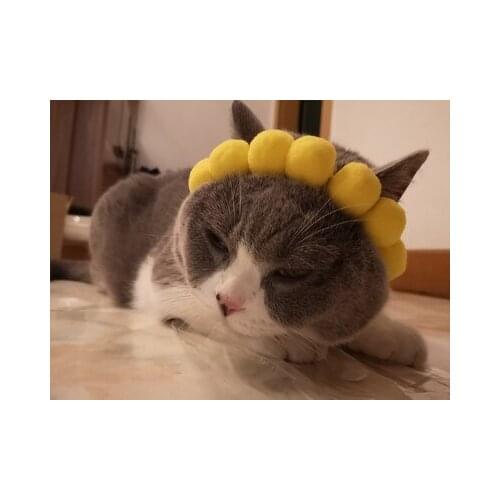 Pet Jewelry Accessories Dog Yellow Ball Ball Cat Collar Necklace English Short Fold Ear Cat Collar into Young Cat Neck Face