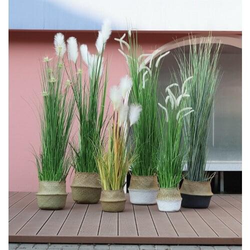 Large-scale floor simulation reed bristlegrass pastoral green plants fake potted home interior decoration window decoration
