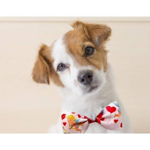 New Cupid Cupid Cat Dog Bow Pet Bow Tie Pet Supplies Accessories Valentines Day Pet Decoration Necktie