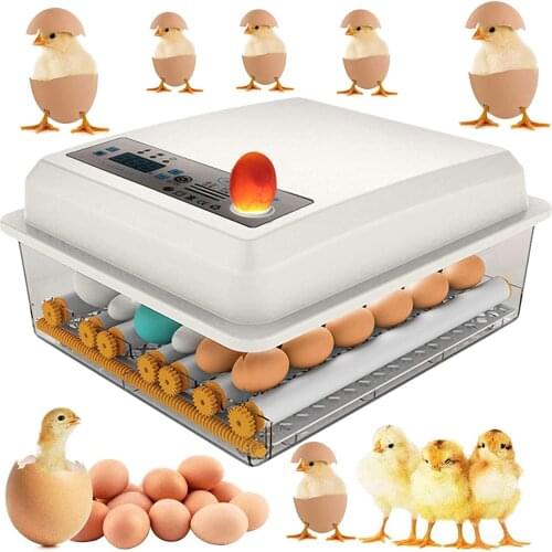 220V 36 Eggs Incubator Brooder Bird Quail Chick Hatchery Incubator Poultry Hatcher Turner Automatic Farm Incubation Tools EU
