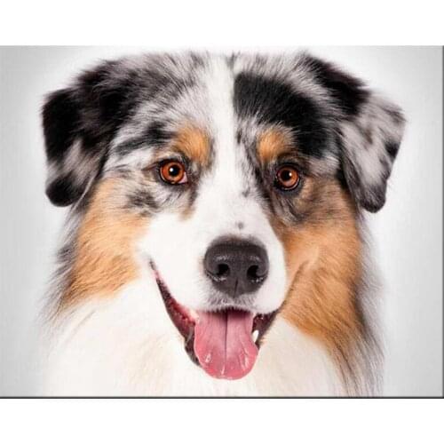 Diy Diamond Embroidery Australian Shepherd dog 5D Diamond Painting animal cute pet Full Cross Stitch Mosaic RhinestoneZP-2238