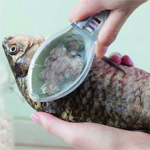 Yogii Instruments For Seafood