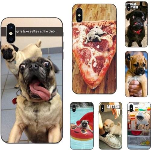 TPU Capa Case For Huawei nova 2 2S 3i 4 4e 5i Y3 Y5 II Y6 Y7 Y9 Lite Plus Prime Pro 2017 2018 2019 Cool Crazy Pug Puppy Dog