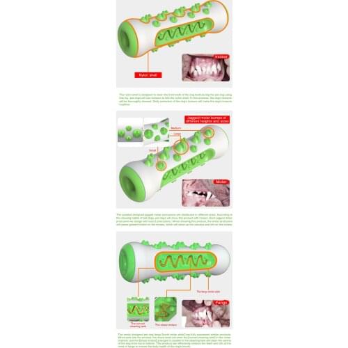 Dog chewing dog toothbrush pet molars pet oral care dog toothbrushing stick dog teeth cleaning toy pet supplies