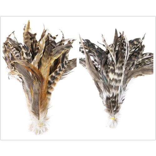 10Pcs 25-30cm Natural Pheasant Chicken Feathers for Crafts Decoration Carnival Clothing Sewing Accessories Chicken Plumes