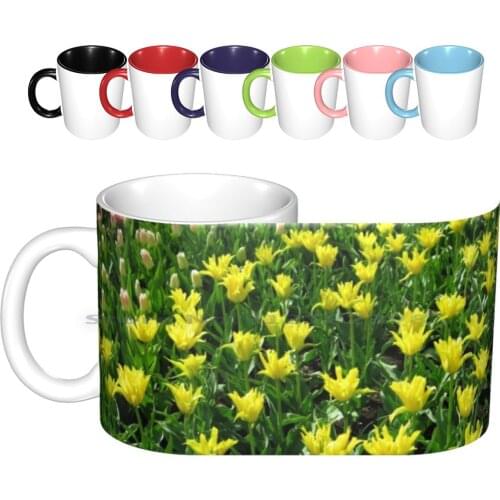 Golden Tulips-Keukenhof Gardens Ceramic Mugs Coffee Cups Milk Tea Mug Tulips Yellow Golden Flowers Bulbs Spring Park Flowerbed