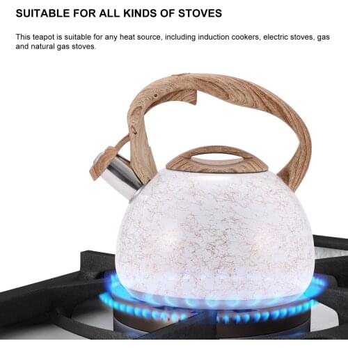 Durable Tea pot Coffee Cold Water Pot 3L Stainless Steel Water Kettle Fashion Teapot Home Tea Cafe Stovetop Whistling Teapot