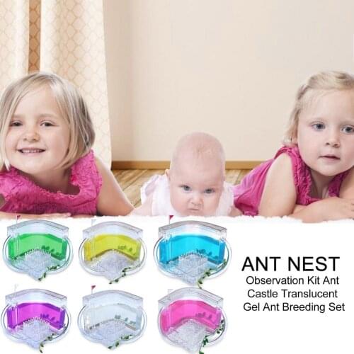 2021 Ant Nest Observation Kit Transparent Habitat Funny Art Decoration Feeding Area Kids Gift Ant Nest Ant Farm Ants House