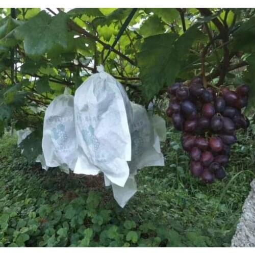 50Pcs Grape Protection Grow Bag Anti-Bird Insect Net Bag Vegetable Fruit Protect Breeding Bag Prevent Fruit Tree