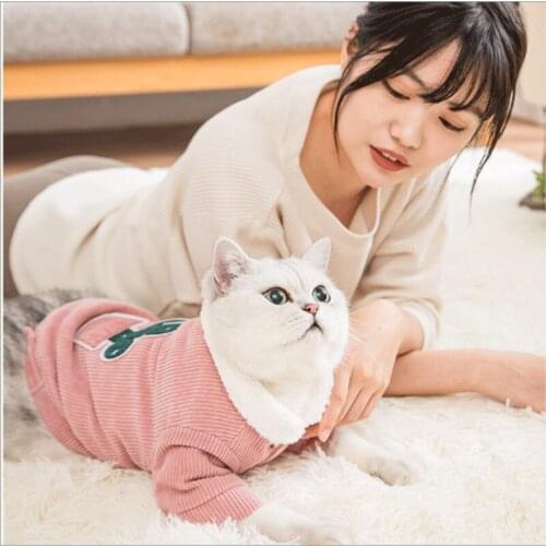 Pet clothes winter plus velvet warm two-legged cotton clothes Teddy dog clothes