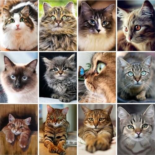 DIY Cat 5D Diamond Painting Full Square Drill Rhinestones Pictures Diamond Embroidery Animals Mosaic Hobby Gift Home Decor
