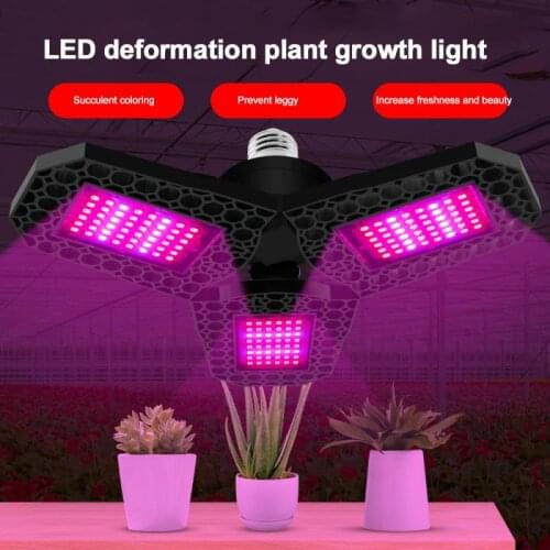 Full Spectrum Phyto Lights LED Phyto Lamps Waterproof Indoor Greenhouse Plants Flower Growth Adjustable Professional Lighting