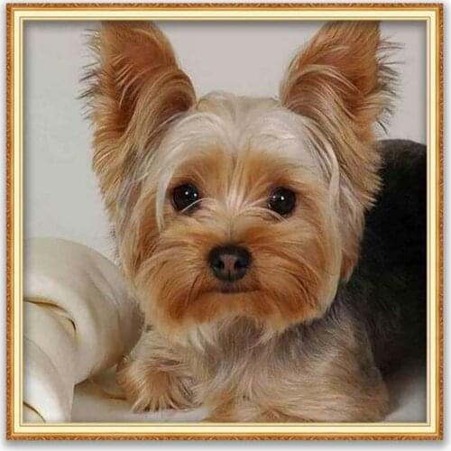 Animal Yorkshire Terrier DIY Embroidery 11CT Cross Stitch Kits Craft Needlework Set Cotton Thread Printed Canvas Home Decoration