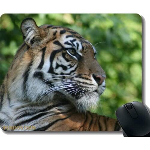 Personalized Mouse Pad,Tiger Muzzle Profile Predator Big Cat 56602 Mouse Pad With Stitched Edge