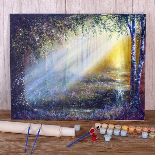 Natural Scenery Bluebell Beams DIY Paint By Numbers Kit Acrylic Paints 40*50 By Numbers Photo Loft Wall Wholesale