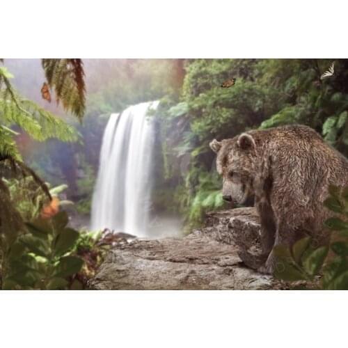 Rain Forest Jungle Mowgli Tropical Bear Waterfall photography backgrounds Computer print children kids backdrop