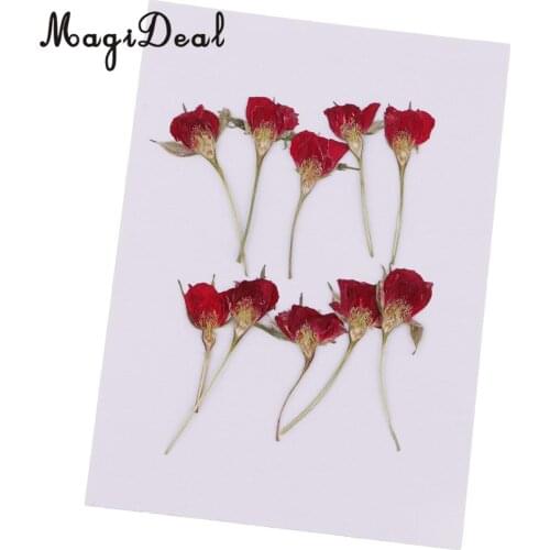 10 Pieces Natural Real Dried Flower Half Cut Rose Flower for DIY Card Making Decoration Jewelry Making Craft