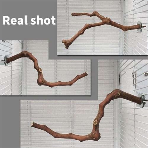 Pet Parrot Bird Standing Stick Grape Wood Pole Cockatiel Parakeet Perches Bite Claw Grinding Toy Bird Cage Accessories