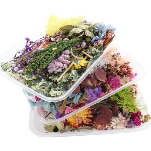 Colorful Real Dried Flower Plant for Aromatherapy Candle Epoxy Resin Pendant Necklace Jewelry Making Craft DIY Accessories