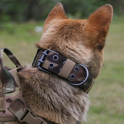 Width Durable Tactical Nylon Dog Collar Outdoor Adjustable Training Collar Pet Military Collar Dog Police Pet Products DF01