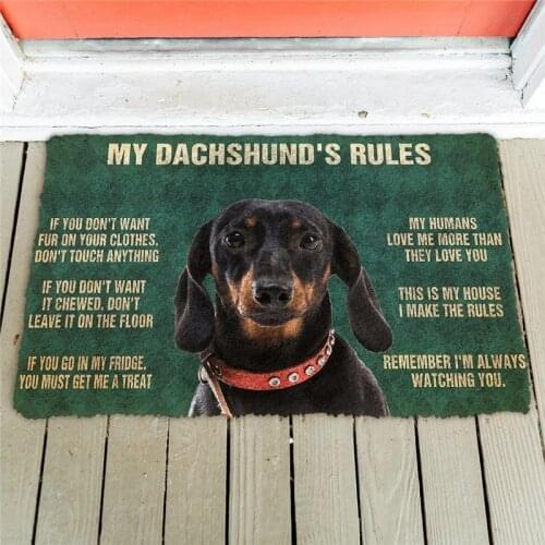 Chesapeake Bay Retrievers Rules Doormat Decor Print Animal Dog Floor Door Mat Non-Slip 3D Soft Flannel Custom Carpet for Hallway