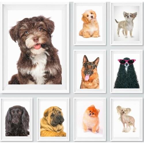 DREAMARTS Home And Garden Products