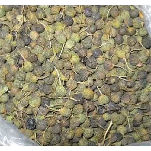 Rhamnus catharticus Buckthorn berry 10-400 GR Free Shipping