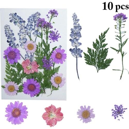 22PCS Kapmore Natural Dry Flower Kit Cute Pressed Flowers Dried Craft Flowers for DIY Resin Women DIY Nail Art Sticker