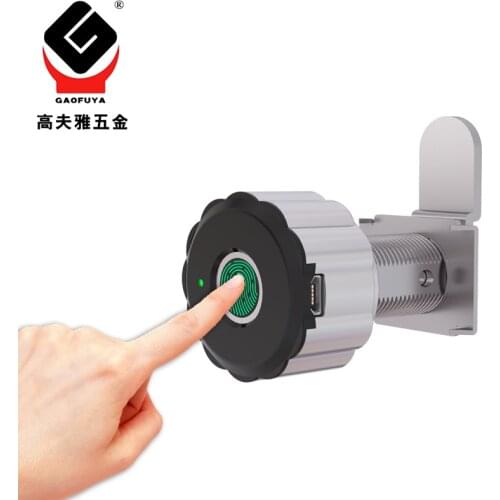 Smart Fingerprint Lock Cabinet Lock Biometrics Lock Electric Lock for Strongbox Mailbox APP Control