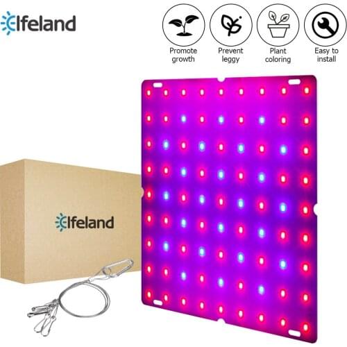 81/169 LEDs 2000W 3000W Indoor LED Grow Light Plant Growing Lamp Red Blue Full Spectrum For Indoor Hydroponic Plant