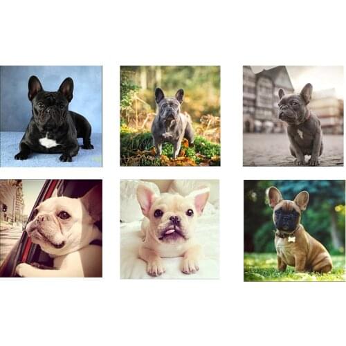 Home Life Applique French Bulldog Diy Diamond Painting Cross Stitch Mosaic Puzzle White Dog Diamond Embroidery Bead Wall Sticker