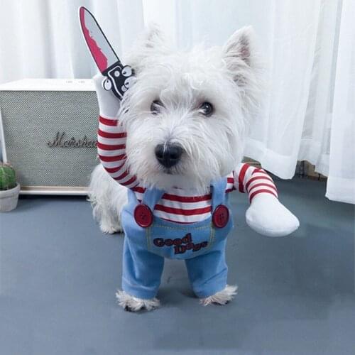 Deadly doll pet transforms into Halloween dog costume with knife small dog costume