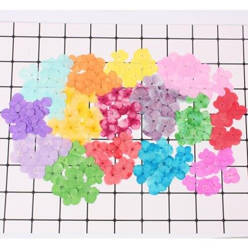 1pcs(12 flower)Hydrangea dried flower pressed flower embossed plant specimen Epoxy dried flower phone case Time gem Epoxy